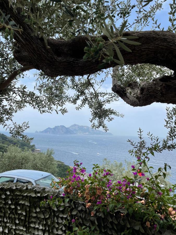 Giardino Del Vesuvio, Pompei Βίλα Terzigno Εξωτερικό φωτογραφία